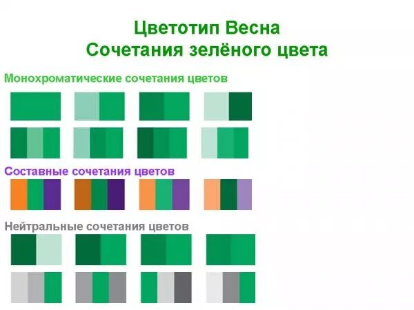 Цвета подходящие к зеленому. Сочетание цветов таблица зеленый. Холодные оттенки зеленого. Сочетание зеленого цвета с другими цветами.