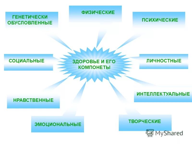 генетически обусловленные качества человека