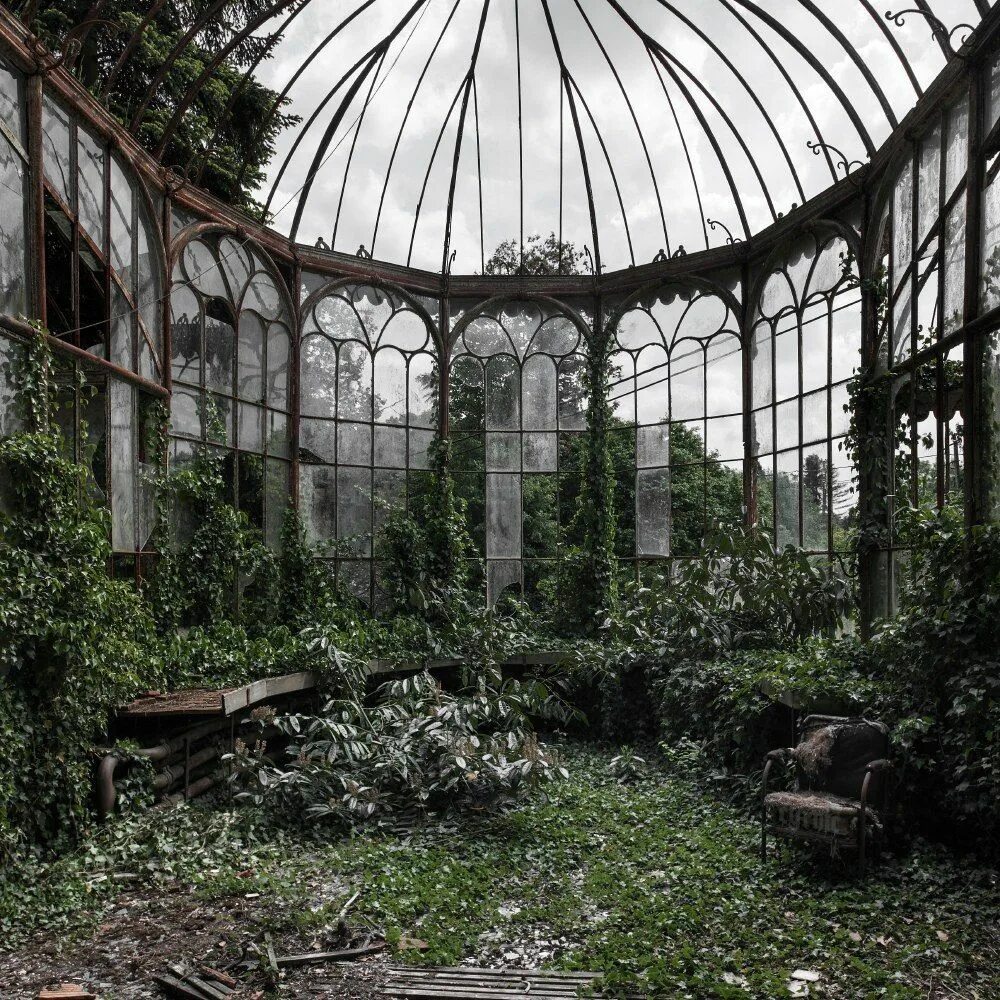Ужасные сад. Ботанический сад ВДНХ оранжерея. Оранжерея Ледницкого замка. Оранжерея Эшби.