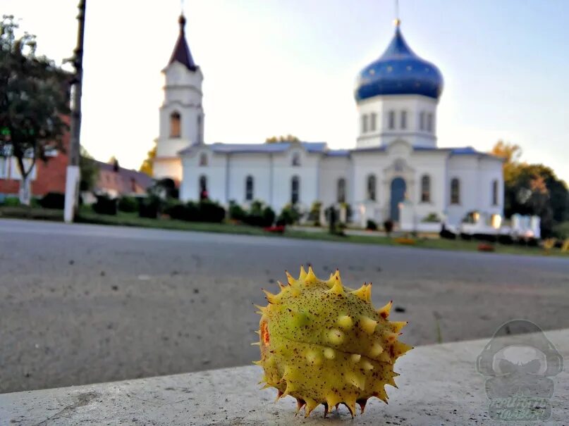 Погода в Плавске.