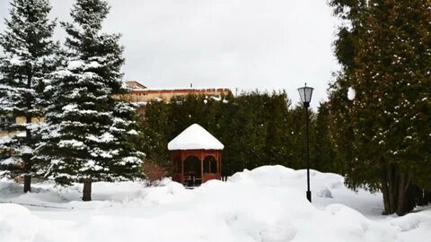 Лесная поляна кучино