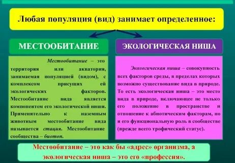 Наиболее близкий по смыслу синоним термина местообитание