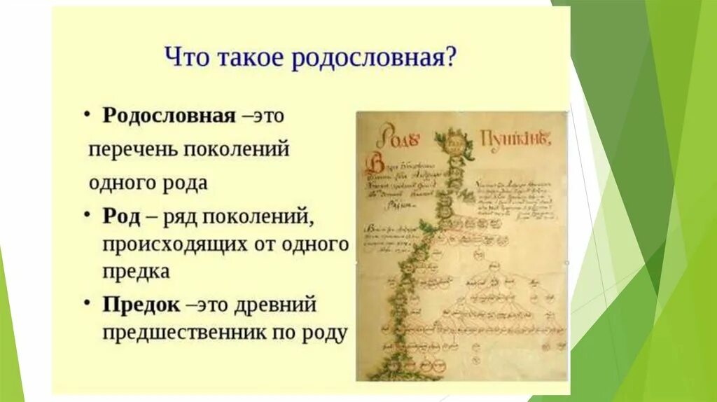 Презентация родословная. Проект про родословную. Генеалогия презентация. Проект моя родословная презентация.