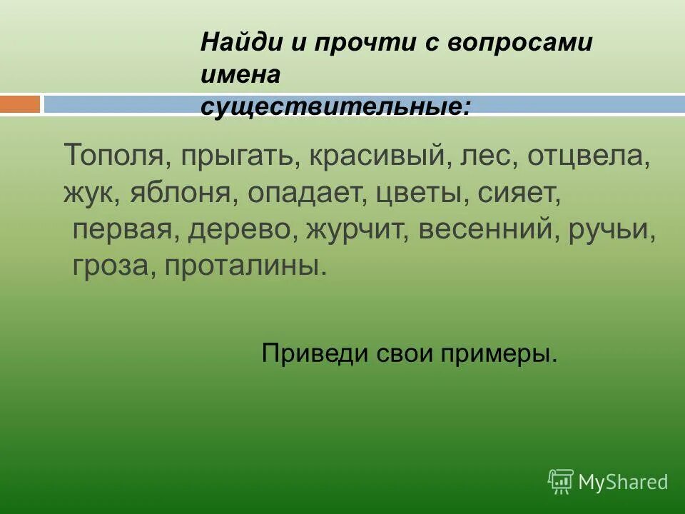 Число имени существительного тополя. Число имени существительного тополя