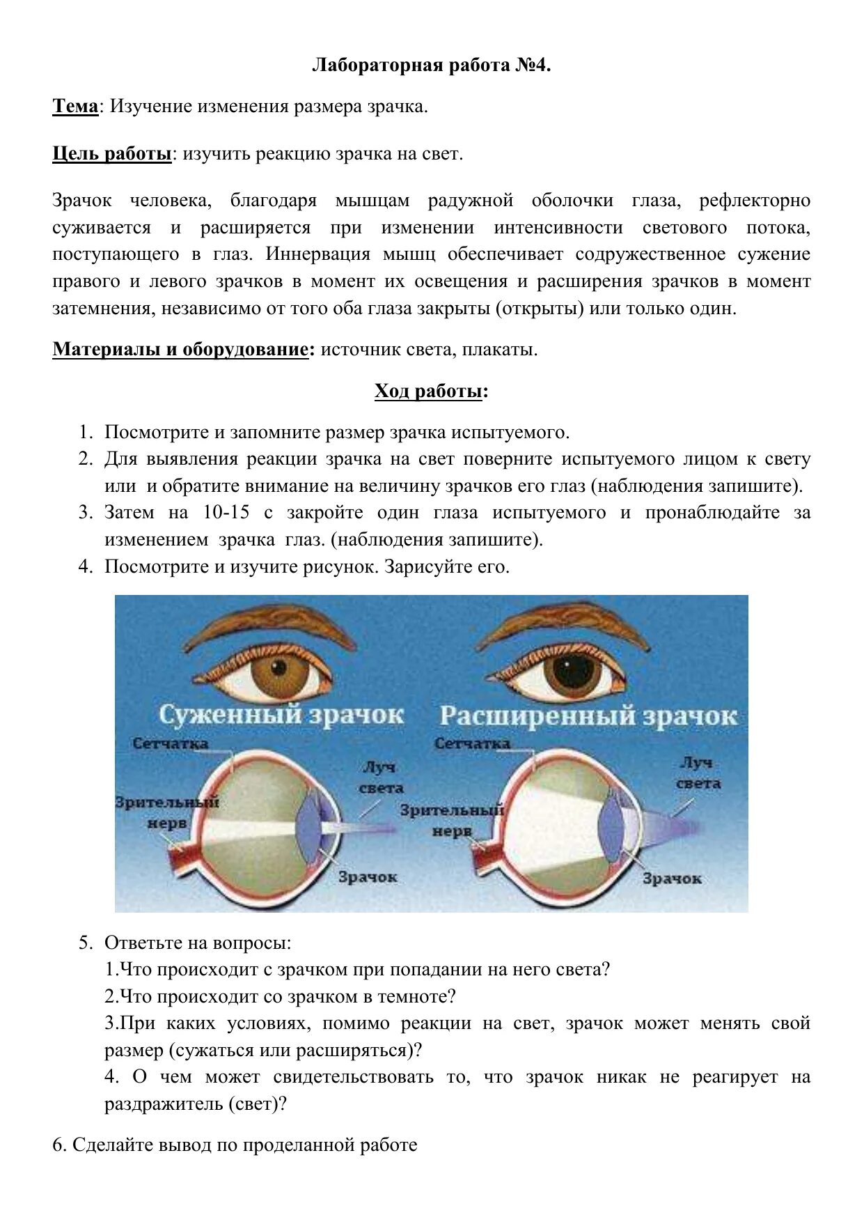 Изучение изменения размера зрачка лабораторная работа 8. Практическая работа №4 «изучение строения и работы органа зрения».. Изучение изменения размера зрачка. Лабораторная работа изучение изменения зрачка. Какими опытами можно обнаружить функции зрачка