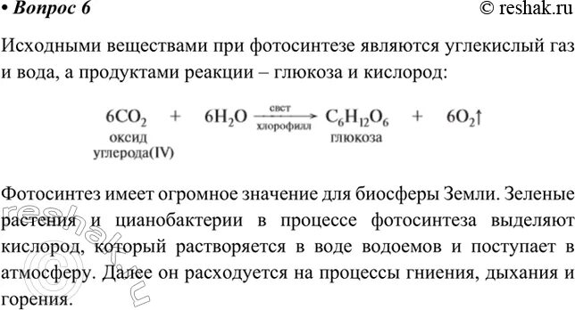 Назовите реакцию исходные вещества продукты реакции. Исходные вещества и продукты реакции процесса фотосинтеза.
