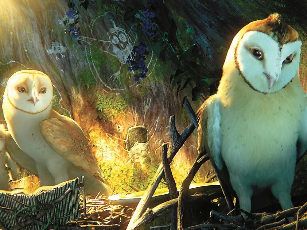 Ga hoole guardians the owls legend. Легенды ночных стражей мультфильм. Легенды ночных стражей 2010. Легенды ночных стражей 2. Легенды ночных стражей мультфильм 2.