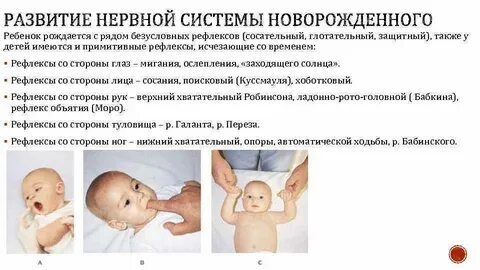 3 месяца отсутствует