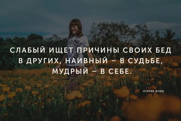 Я тебя нашел на свою беду песня. Ищите причину в себе. Причину всех бед ищи в самом себе. Ищи причину в себе. Цитаты научись искать причину своих бед в себе.