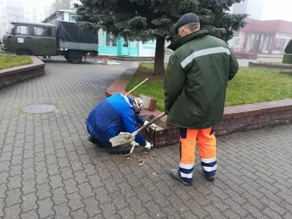 На сегодняшний день работа в лиде