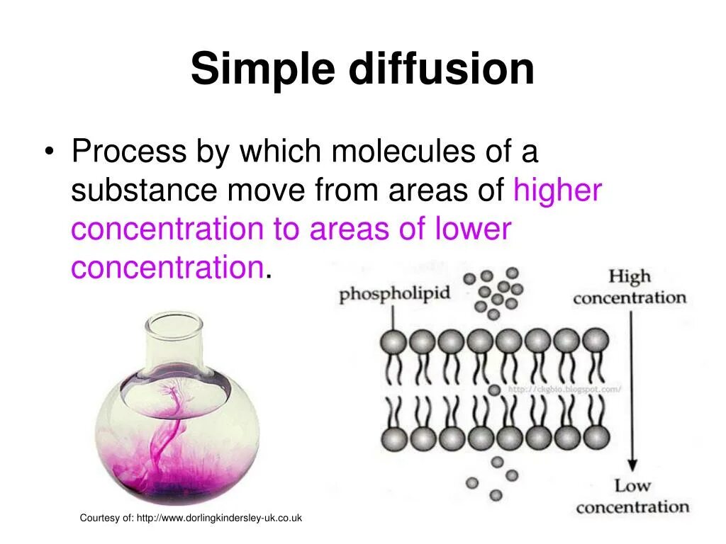Diffusion process. Process of simple diffusion. diffusion is. simulating simple diffusion. stable diffusion нейросеть.