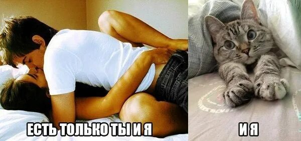 Мужики Любят Секс