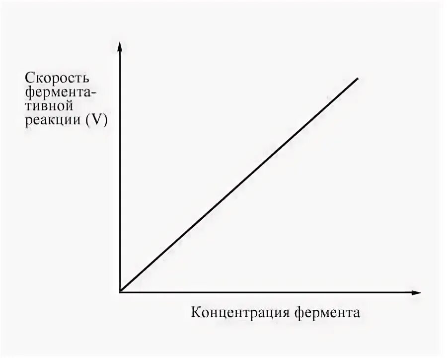 Зависимость активности от концентрации. Зависимость активности ферментов от концентрации субстрата. График зависимости ферментативной реакции от концентрации субстрата. Зависимость скорости реакции от концентрации фермента. Скорость ферментативной реакции зависит от концентрации фермента.