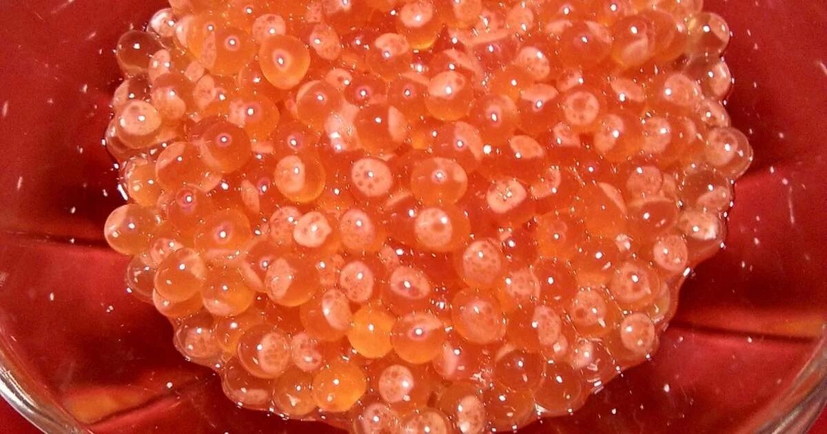 Икры разного размера. Пузырьки в красной икре что это. Аллергия от красной икры. Пинагор рыба икра. Икра с маленькими пузырьками.