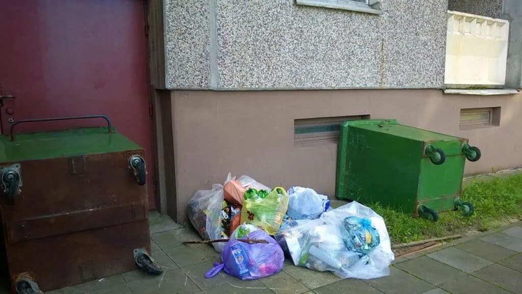 вещи на мусорке. вещи с помойки. можно ли выбрасывать ножи на помойку. деньги в мусорке. можно ли выбрасывать ножи на помойку.