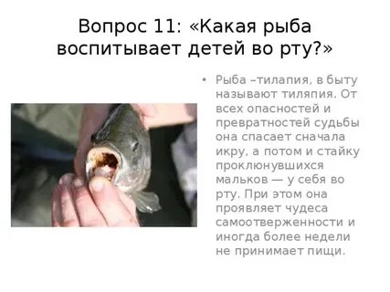 Почему малька получила такую