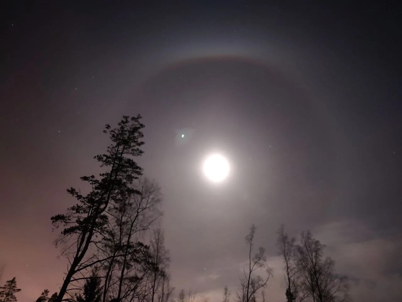 Солнечное гало вокруг Луны. Северное сияние солнечное гало. Гало ночью вокруг Луны. Ореол - гало Луна. Какое животное первым облетело вокруг луны