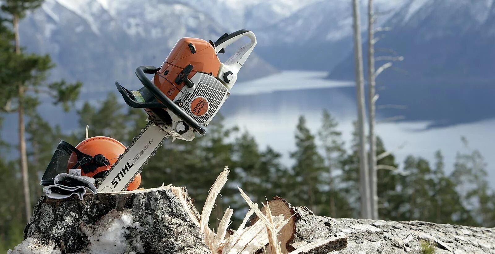Stihl ms 362. андреас штиль. штиль какая фирма. магазин штиль в барановичах ул вильчковского каталог. штиль какая фирма.