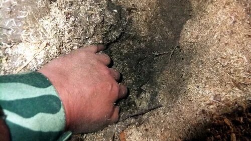 Глина опилки вода. Утепление глиной с опилками. Утепление потолка опилками. Сухая глина. Утеплить потолок опилками.