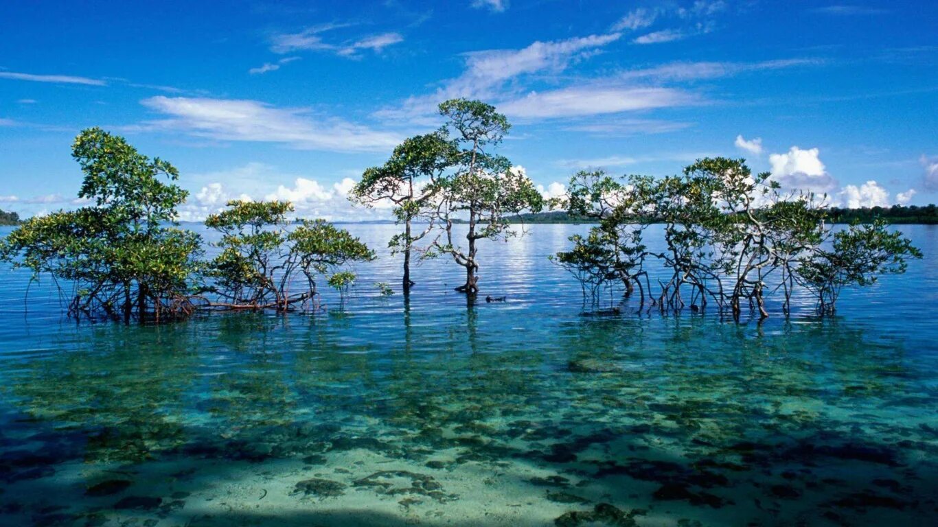 Адаманское море