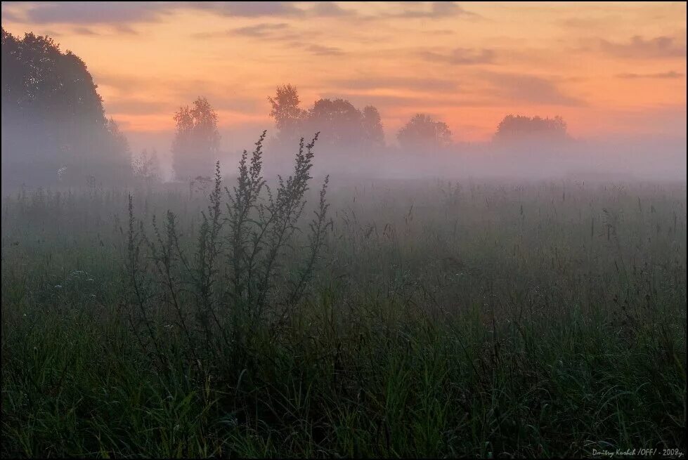 Там травою поднялся туман песня слушать. Поле в тумане. Поле рассвет туман. Луг на рассвете в тумане. Луг туман.