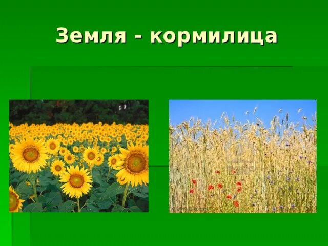Земля кормилица окружающий - 1/48