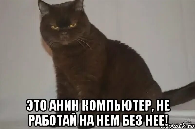Не ю