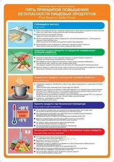 5 принципов питания