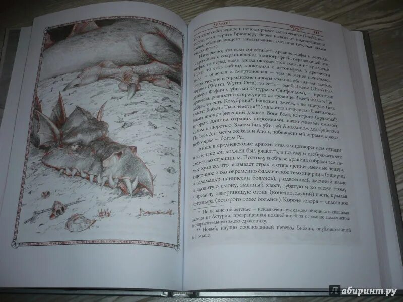 Создания света создания тьмы. Бестиарий. создания света, мрака, полумрака и тьмы книга. анджей сапковский бестиарий. бестиарий создания света мрака полумрака и тьмы. иллюстрации к книге анджей сапковский - бестиарий.