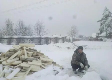 Под старою сосной