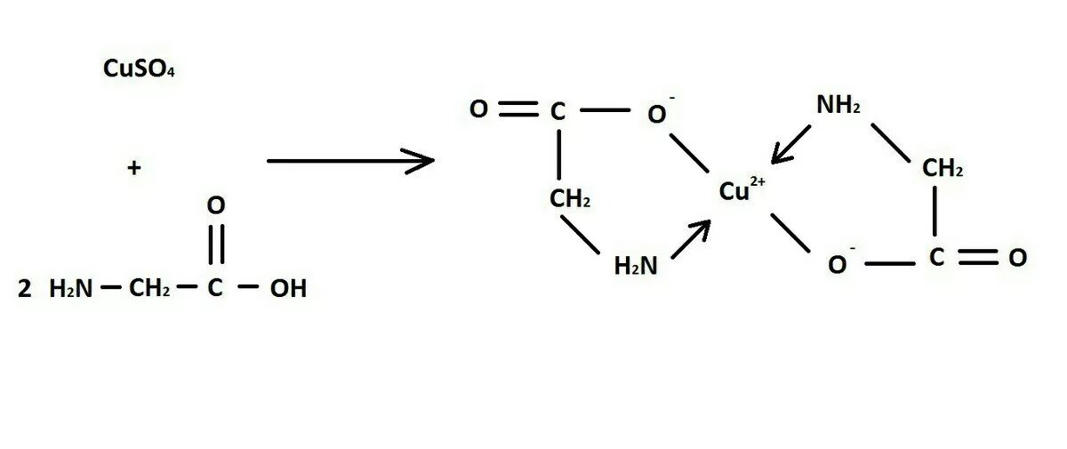 Cuso4 naoh продукты реакции. Глутаминовая кислота cuso4. Глицин и сульфат меди. Образование медной соли аминоуксусной кислоты. Аминокапроновая кислота с сульфатом меди.