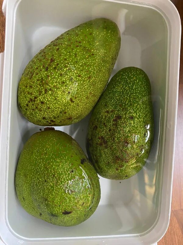 половинка авокадо в холодильнике. можно хранить авокадо в холодильнике. хранение авокадо. форма для хранения авокадо. можно хранить авокадо в холодильнике.