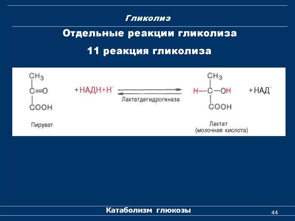 Реакция окисления гликолиза. Гликолиз схема с ферментами. Гликолиз схема. Гликолиз схема с формулами. Гликолиз схема реакций.