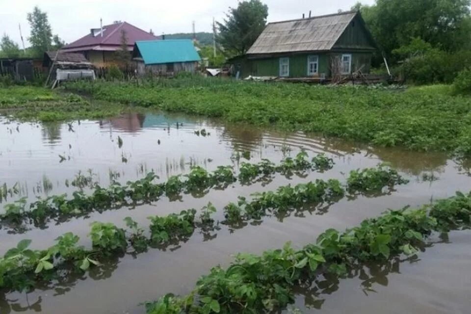 Затопило огород