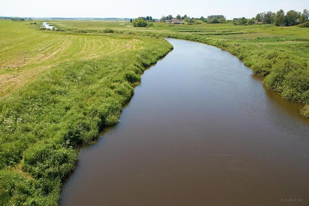 нярис река. река в белоруссии 5 букв. река ствига. река в белоруссии 5 букв. река в белоруссии 5 букв.