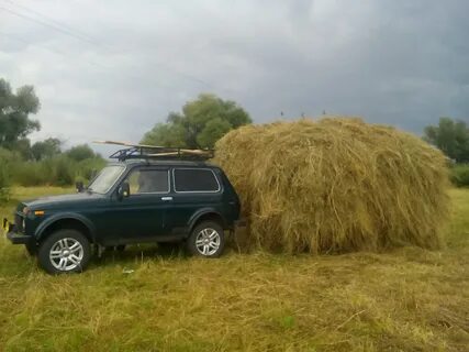 Нивы скошены