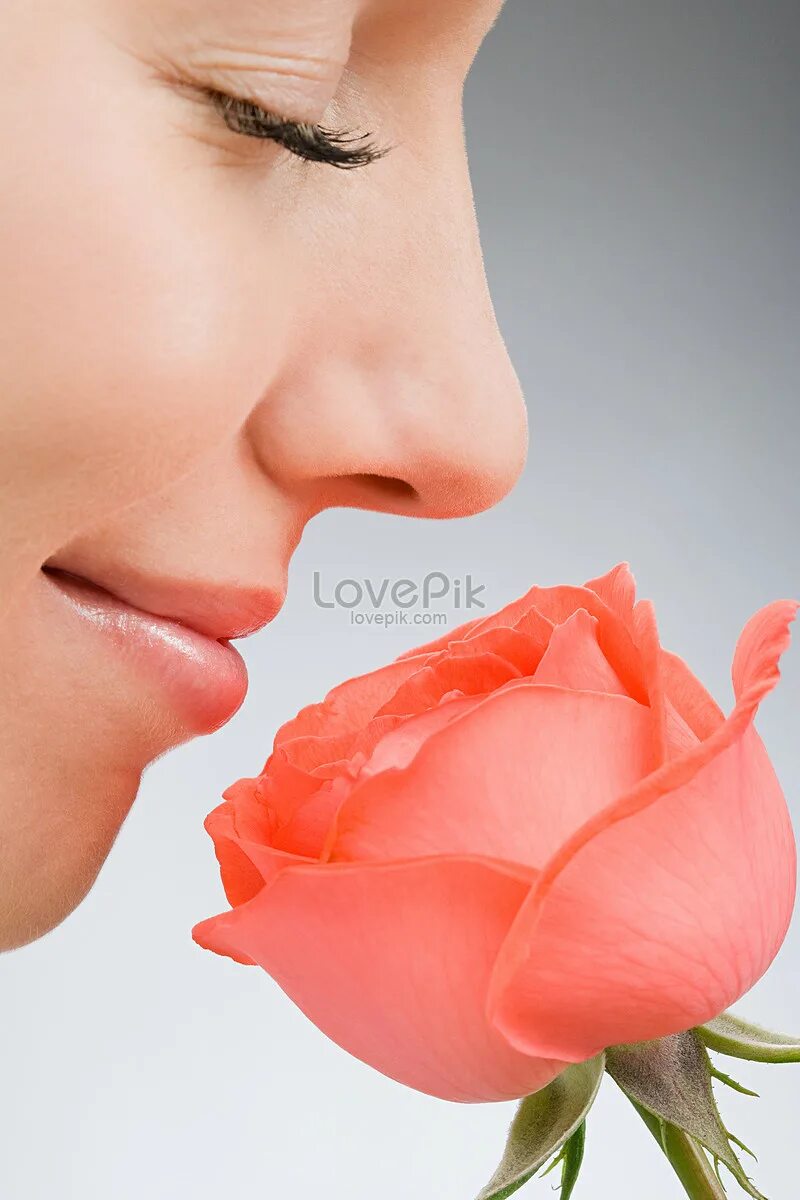 Why you smell this flower
