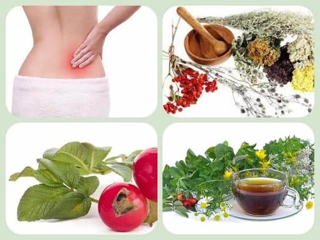 Народное лечение почек у женщин. Метод избавления от камней в почках. Народное лечение почек у женщин. Лекарство для почек. Восстановить печень народными средствами.