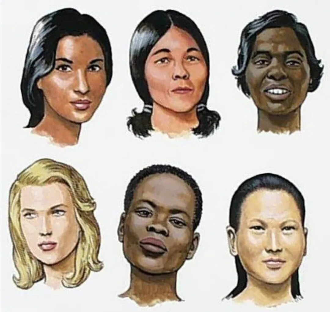 Особенности национальностей. Расы людей. Представители разных рас. Человеческие расы. Лица людей разных рас.