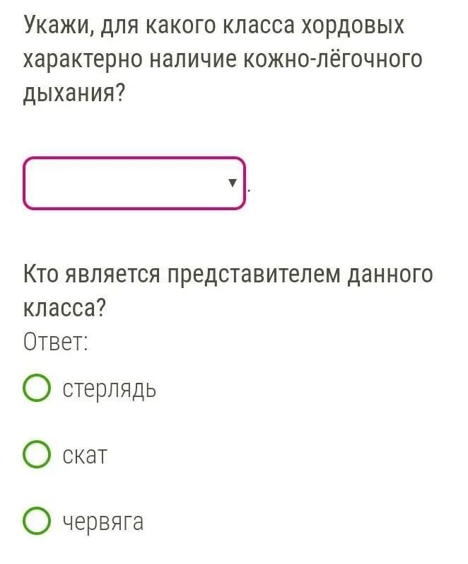 Класс хордовые наличие кожно легочного дыхания
