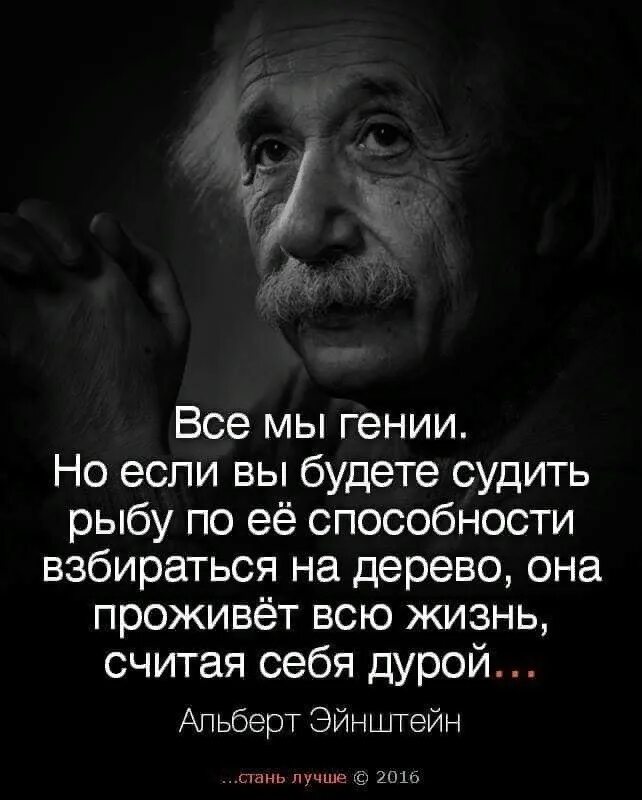 Каждый гениален. Эйнштейн цитаты.