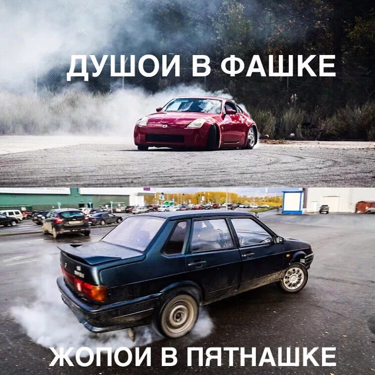Сибериан берд