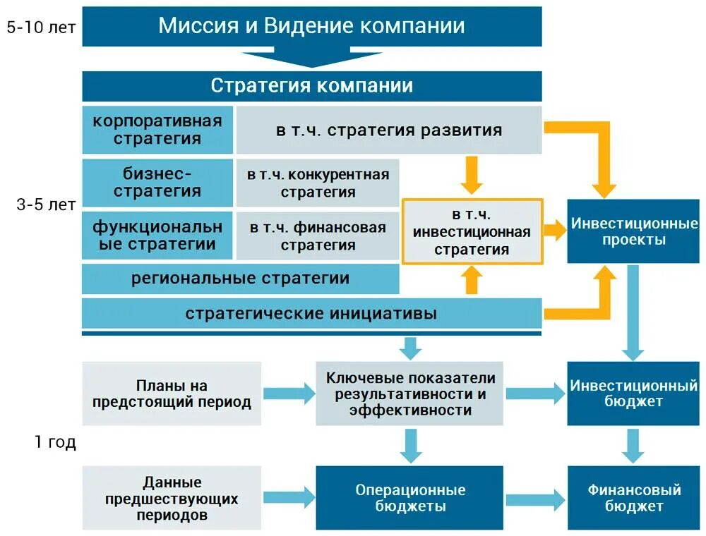 Деятельность в новой компании развитие
