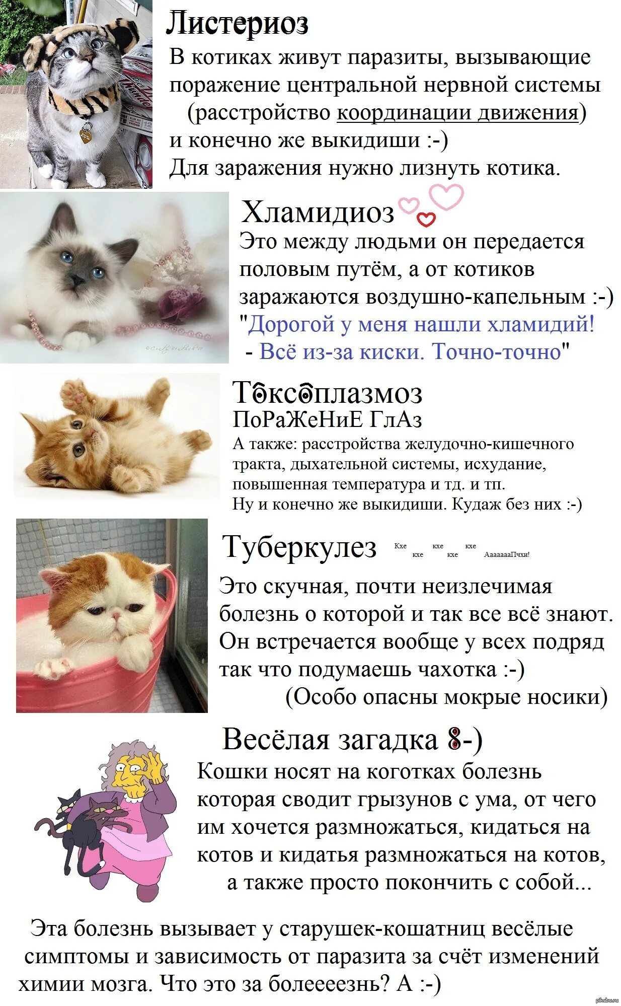 У кота мочекаменная болезнь это лечится. Причины болезней кошки. Заболевания кошек список. Болезни кошек симптомы таблица. Причины болезней кошки.