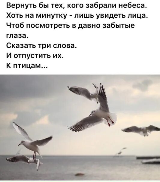 Стихи про тех кого забрали небеса. Цитаты. Давно забытые глаза. Давно забытые глаза. И отпустить их к птицам стих.