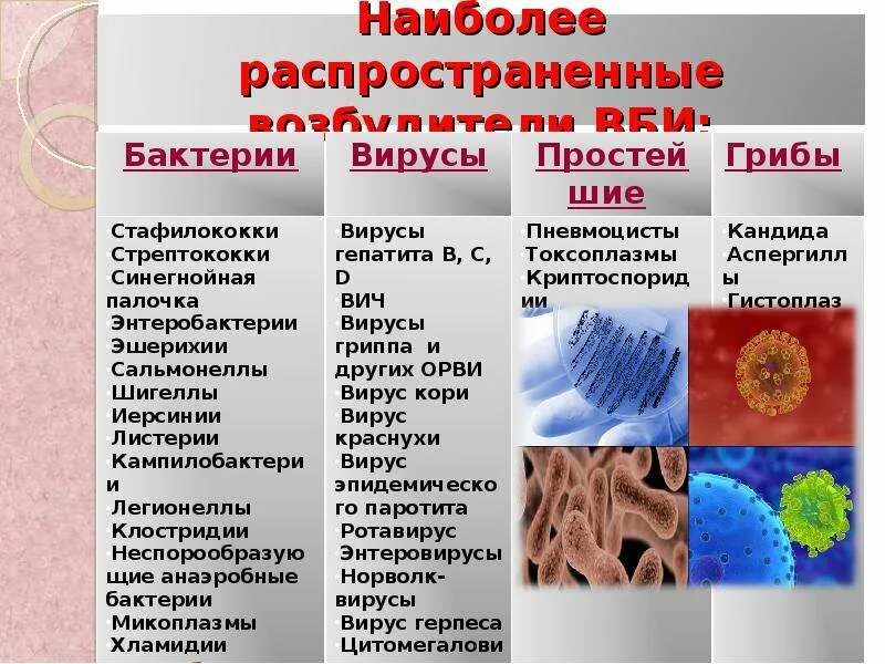 Одна из ведущих групп риска заражения исмп. Одна из ведущих групп риска заражения исмп