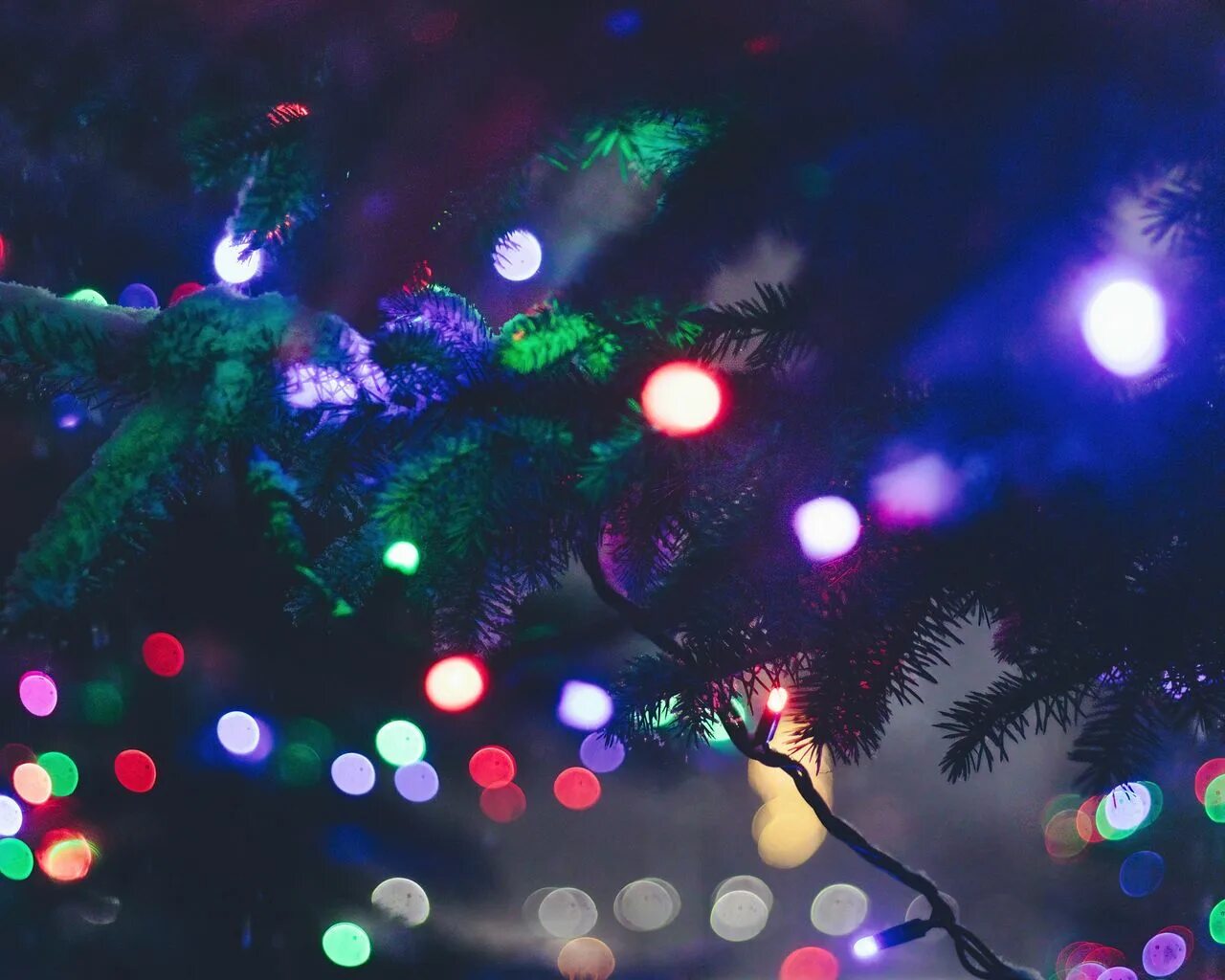 Елка в огнях. Новогодняя елка с огоньками. Рождественская елка. Гирлянда на елку. Гирлянда на елку.