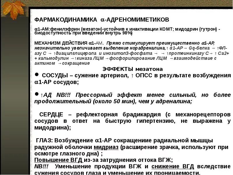 Препараты применяемые при брадикардии. Рефлекторная брадикардия. рефлекторная брадикардия механизм. механизм формирования рефлекторной синусовой брадикардии. фенилэфрин (мезатон) механизм рефлекторной брадикардии.
