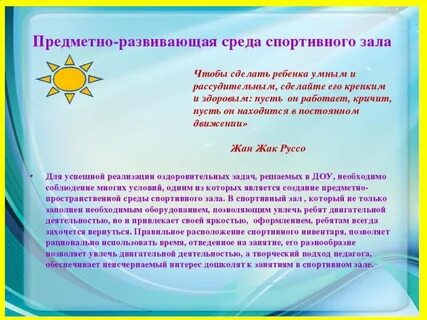 Цель предметно развивающей среды