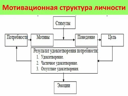 Мотивационная структура личности